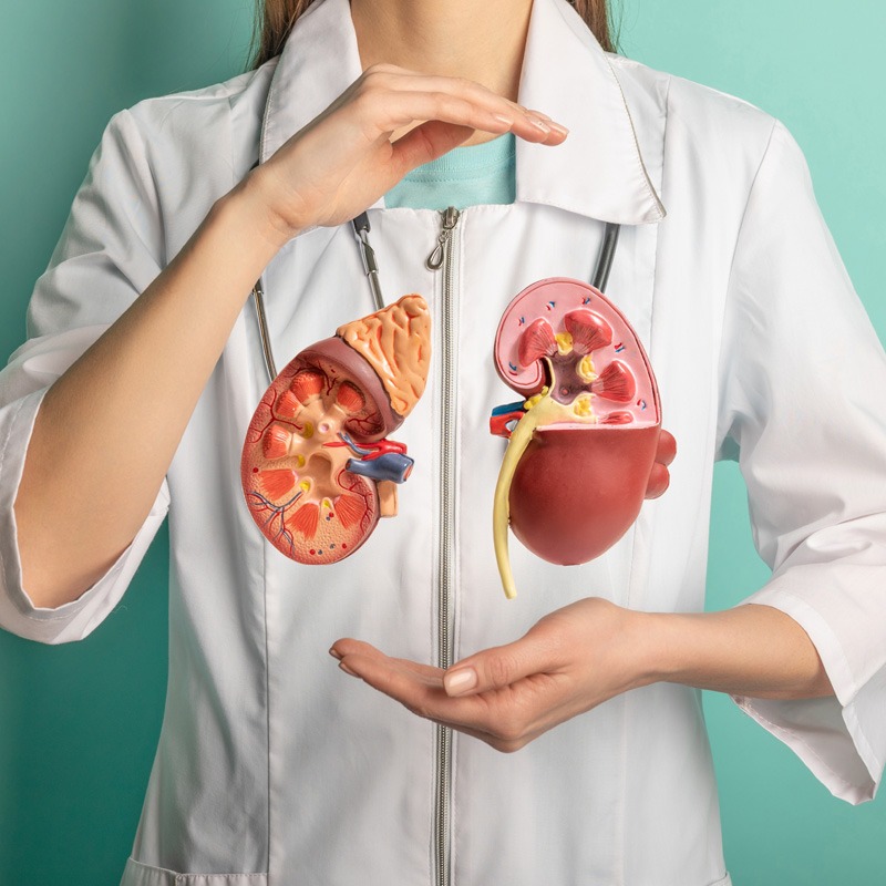 Διατροφή για Νεφρικές νόσους